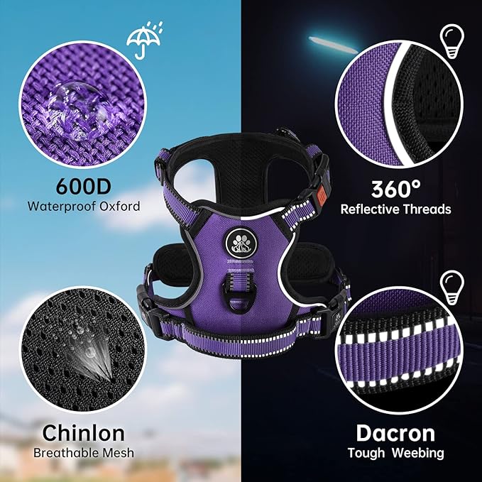 NESTROAD No Pull Dog Harness,Adjustable Oxford Dog Vest Harness with Leash,Reflective No-Choke Pet Harness with Easy Control Soft Handle for Small Dogs(Small,Purple) NESTROAD