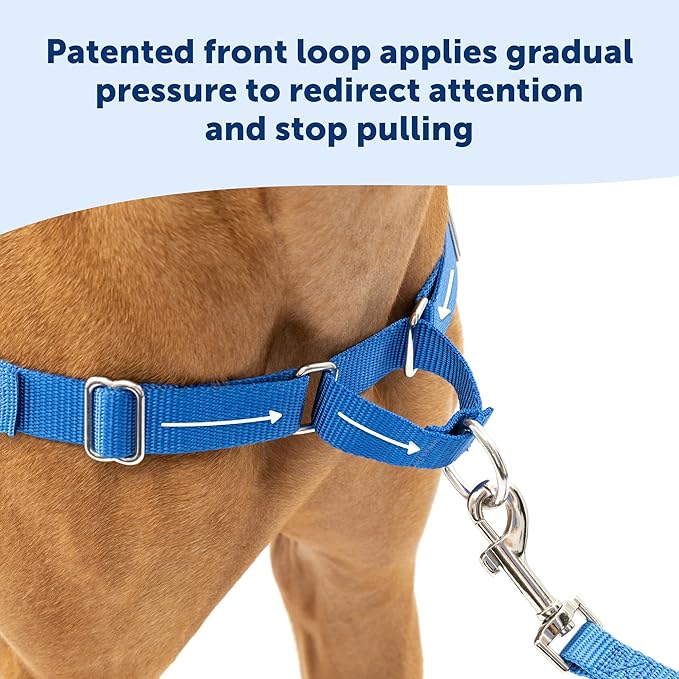 PetSafe Easy Walk No-Pull Dog Harness - The Ultimate Harness to Help Stop Pulling - Take Control & Teach Better Leash Manners - Helps Prevent Pets Pulling on Walks, Medium/Large, Apple Green/Gray PetSafe