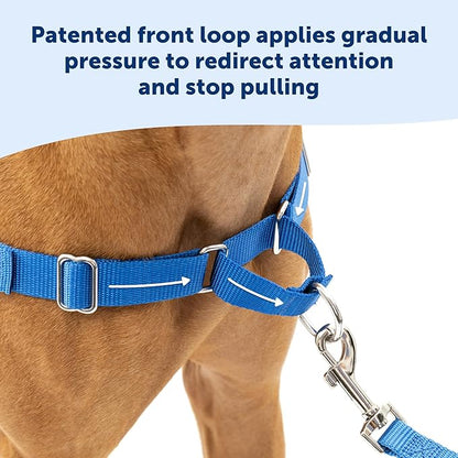PetSafe Easy Walk No-Pull Dog Harness - The Ultimate Harness to Help Stop Pulling - Take Control & Teach Better Leash Manners - Helps Prevent Pets Pulling on Walks, Small, Fawn/Brown PetSafe