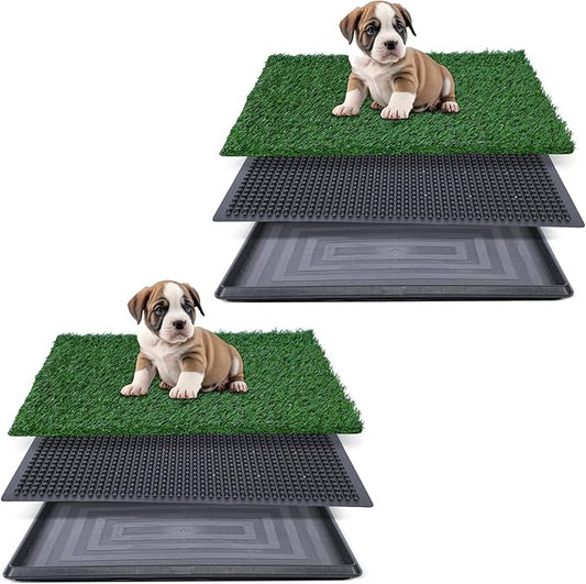 Artificial Grass for Dog Potty – 16x20 inch,Strong Absorbency Grass Pad, Dog Grass Pad with Tray, Dog Potty Training Pad, Dog Litter Box with Grass (16"x20"X2) - PAWPICO
