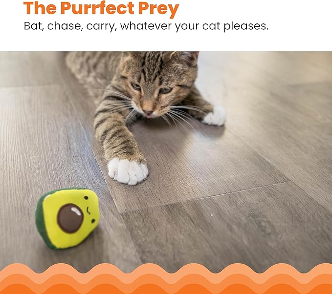 Catstages Lil' Avocato Dental Health Catnip Cat Chew Toy - PAWPICO