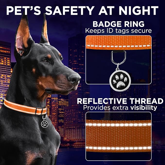 TECEUM Reflective Pet Collar – Orange – M – Basic Nylon Dog Collar – Quick Release Buckle – Fits Small, Medium and Large Dogs, Puppies, Cats – ESA & Service Dog Options TECEUM