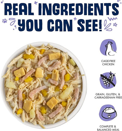 Weruva Classic Dog Food, Bed & Breakfast with Chicken, Egg, Pumpkin & Ham in Gravy, 14oz Can (Pack of 12) - PAWPICO