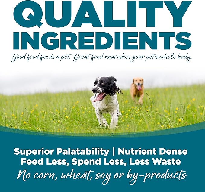 NutriSource Adult Dry Dog Food, Chicken and Rice, 12LB - PAWPICO