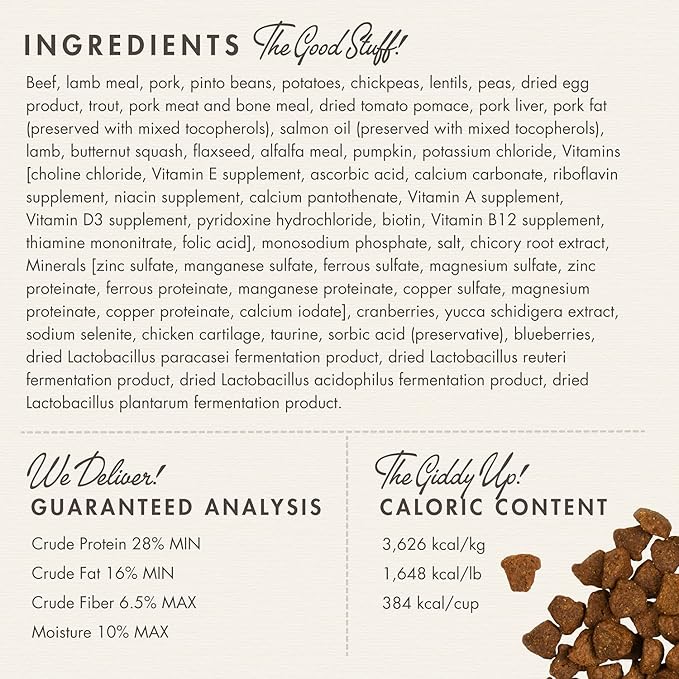 Fromm Four-Star Nutritionals Rancherosa Dog Food - Premium Dry Dog Food - Beef Recipe - 12 lb - PAWPICO