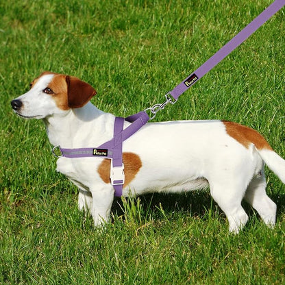 Plutus Pet Cotton Dog Harness and Leash Set, Reflective and Soft Padded, Quick Fit Vest Harness, for Small, Medium and Large Dogs, Medium Purple, XS - PAWPICO