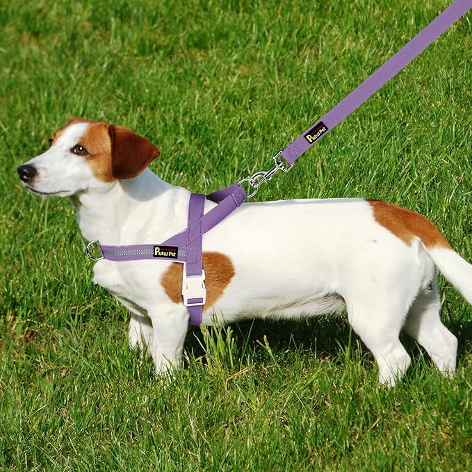 Plutus Pet Cotton Dog Harness and Leash Set, Reflective and Soft Padded, Quick Fit Vest Harness, for Small, Medium and Large Dogs, Medium Purple, S - PAWPICO