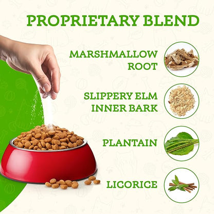 Animal Essentials Colon Rescue Powder - Herbal Digestive Aid for Dogs & Cats, Phytomucil, Healthy Gastrointestinal Tract, Certified Organic Herbs, No Preservatives, Glycerin-Based Formula - 1 Oz AnimalEssentials