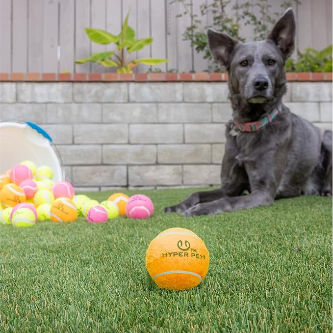Hyper Pet Tennis Balls for Dogs (Pet Safe Ball for Exercise and Training) Interactive Dog Toys work with Hyper Pet K9 Kannon K2 Dog Ball Launcher - 4 Pack 2.5" Orange - PAWPICO