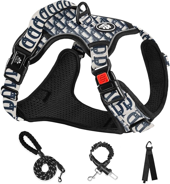 NESTROAD No Pull Dog Harness,Adjustable Oxford Dog Vest Harness with Leash,Reflective No-Choke Pet Harness with Easy Control Soft Handle for Small Dogs(Small,Vintage Blue) NESTROAD