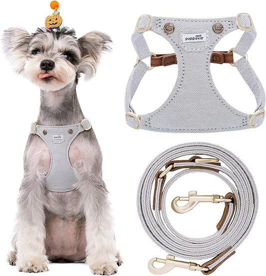 Puppytie No Pull Small Dog Harness with Multifunction Dog Leash,Lightweight Soft Adjustable No Choke Escape Proof Pet Harness Vest Pet Harness Vest,Denim Gray,S Puppytie