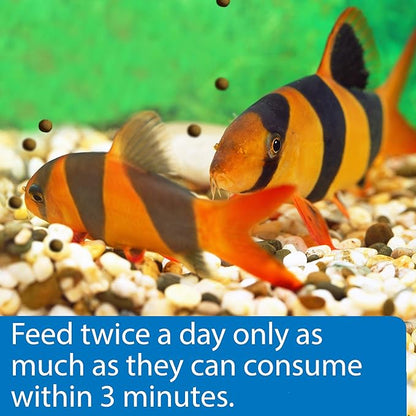 API BOTTOM FEEDER PELLETS WITH SHRIMP Fish Food 1.3-Ounce Container API