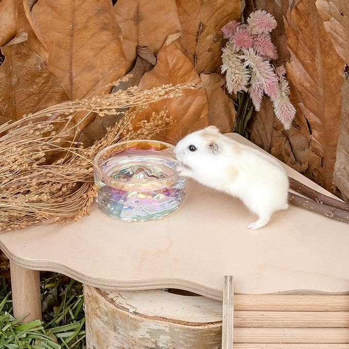 Niteangel Hamster Feeding & Water Bowls- Mount Fuji Series Glass Drinking Bowls for Dwarf Syrian Hamsters Gerbils Mice Rats or Other Similar-Sized Small Pets Niteangel