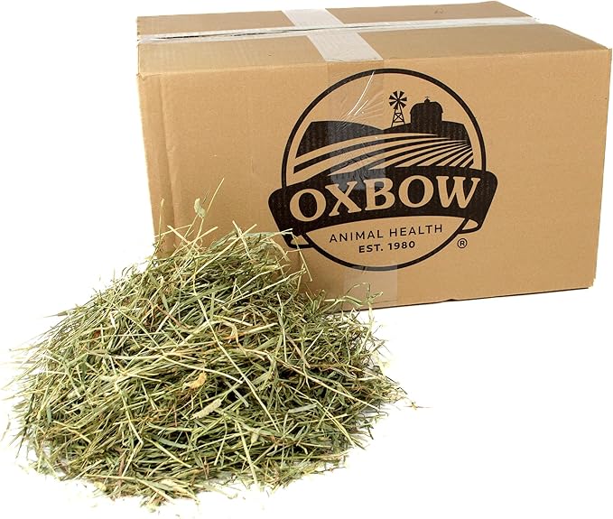 Oxbow Animal Health Western Timothy Hay - All Natural Hay for Rabbits, Guinea Pigs, Chinchillas, Hamsters & Gerbils- Made in the USA- Fiber Rich- Veterinarian Recommended - 25 lb. Bulk Size OxbowAnimalHealth