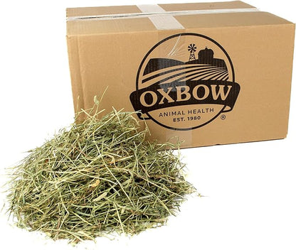 Oxbow Animal Health Western Timothy Hay - All Natural Hay for Rabbits, Guinea Pigs, Chinchillas, Hamsters & Gerbils- Made in the USA- Fiber Rich- Veterinarian Recommended - 25 lb. Bulk Size OxbowAnimalHealth