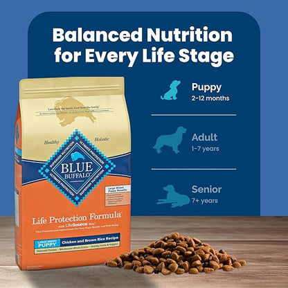 Blue Buffalo Life Protection Formula Large Breed Puppy Dry Dog Food with DHA, Vital Nutrients & Antioxidants, Made with Natural Ingredients, Chicken & Brown Rice Recipe, 15-lb. Bag - PAWPICO