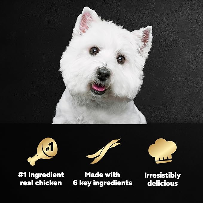 CESAR SIMPLY CRAFTED Adult Wet Dog Food Meal Topper, Chicken, Duck, Purple Potatoes, Pumpkin, Green Beans & Brown Rice, 1.3oz., Pack of 10 - PAWPICO