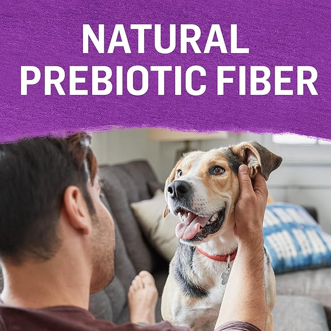 Purina Beyond Gravy, Beef, Chicken or Turkey in Gravy Ground Entree Grain Free Wet Dog Food Variety Pack - (Pack of 6) 12.5 oz. Cans - PAWPICO