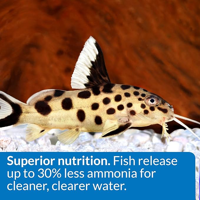 API BOTTOM FEEDER PELLETS WITH SHRIMP Fish Food 1.3-Ounce Container API