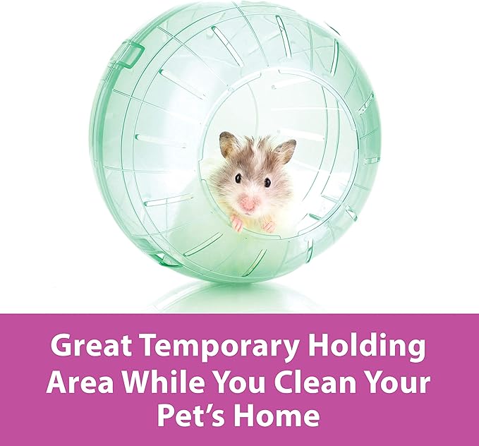 Kaytee 13" Clear Run-About Exercise Ball For Pet Rats & Chinchillas Kaytee