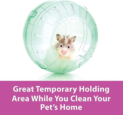 Kaytee 13" Clear Run-About Exercise Ball For Pet Rats & Chinchillas Kaytee
