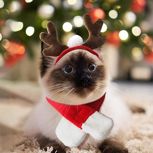 PETLESO Cat Christmas Costume, Cat Reindeer Antlers with Christmas Scarf Small Dog Santa Costume Pet Xmas Outfits for Cat Kitten, Puppy - PAWPICO