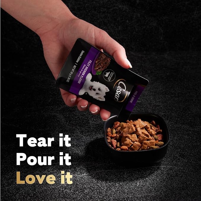 Cesar Wet Dog Food 40 Count Multipack - PAWPICO