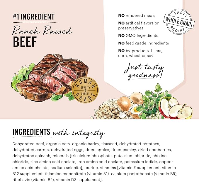 The Honest Kitchen Dehydrated Whole Grain Beef Dog Food, 2 lb Box - PAWPICO