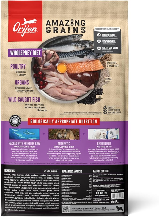 ORIJEN Amazing Grains Puppy Large Dry Dog Food, High Protein Dog Food for Large and Giant Puppy Breeds, Fresh or Raw Ingredients, 22.5lb - PAWPICO