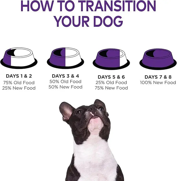 Wellness Complete Health Dry Dog Food with Grains, Natural Ingredients, Made in USA with Real Meat, All Breeds, For Adult Dogs (Chicken & Oatmeal, 15-Pound Bag) - PAWPICO