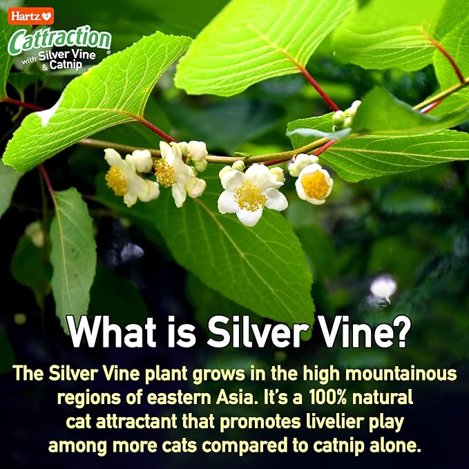 Hartz Cattraction with Silver Vine & Catnip Crinkle Mice, 10 Count - PAWPICO