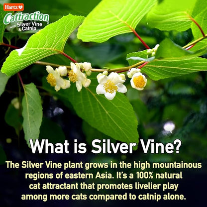 Hartz Cattraction with Silver Vine & Catnip Crinkle Mice, 10 Count - PAWPICO