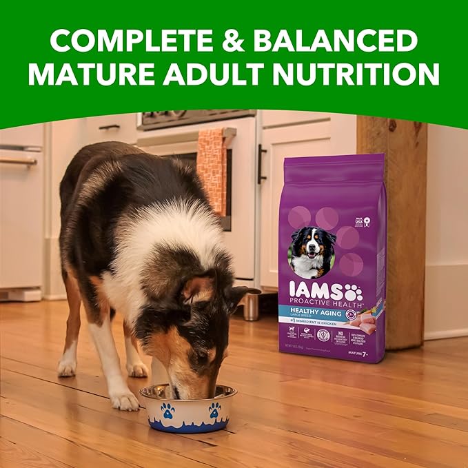IAMS Proactive Health Healthy Aging Large Breed Adult Dry Dog Food for Mature and Senior Dogs with Real Chicken, 30 lb. Bag - PAWPICO
