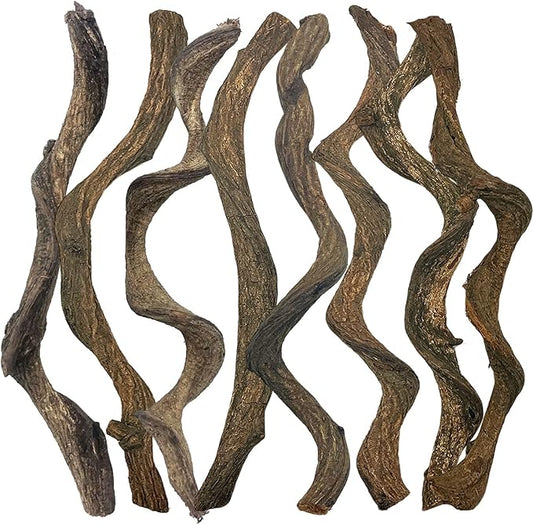 Reptile Decor Natural Forest Branch Terrarium Habitat Decoration Lizard Climbing Tree Branch for Bearded Dragon Gecko Snake Frog Chameleon Spider 8PCS BNOSDM