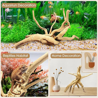 Natural Small Spiderwood Driftwood for Aquarium Decor Rptile Fish Tank Decoration Assort Branch 4-7'' 8 Pcs Jorewood
