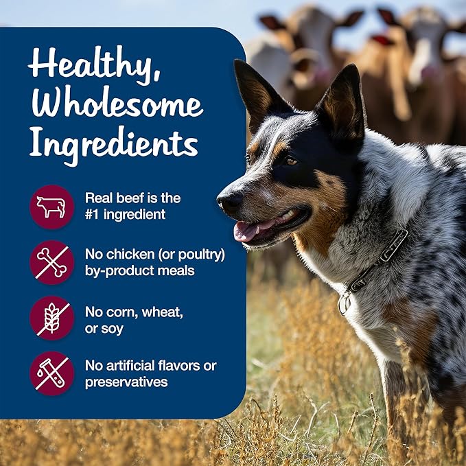 Blue Buffalo Blue's Stew Grain-Free Wet Dog Food, Made with Natural Ingredients, Hearty Beef Stew, 12.5-oz. Cans (12 Count) - PAWPICO