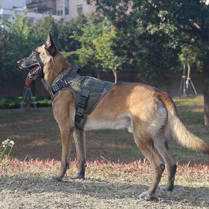 ICEFANG Tactical Dog Harness,X-Large Size, 2X Metal Buckle,Working Dog MOLLE Vest with Handle,No Pulling Front Leash Clip,Hook and Loop Panel ICEFANGDIRECT