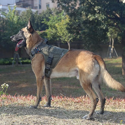 ICEFANG Tactical Dog Harness,X-Large Size, 2X Metal Buckle,Working Dog MOLLE Vest with Handle,No Pulling Front Leash Clip,Hook and Loop Panel ICEFANGDIRECT