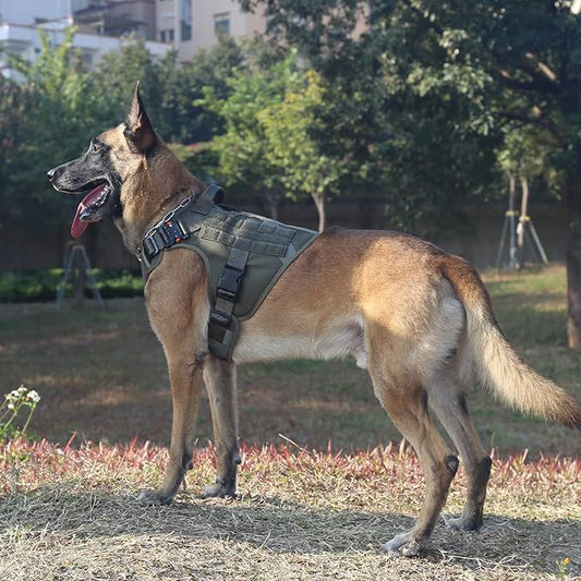 ICEFANG Tactical Dog Harness,X-Large Size, 2X Metal Buckle,Working Dog MOLLE Vest with Handle,No Pulling Front Leash Clip,Hook and Loop Panel ICEFANGDIRECT