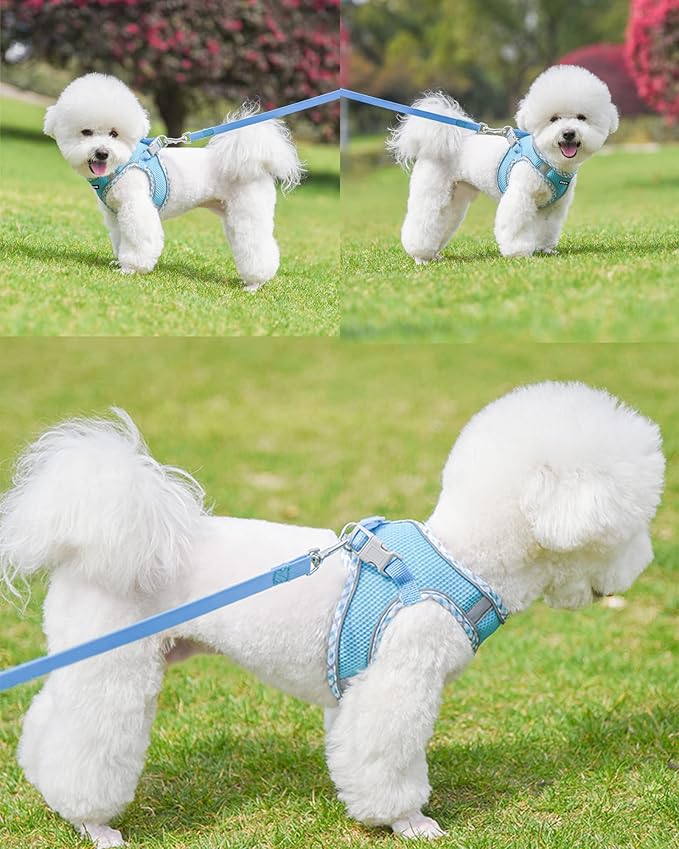 Petank Dog Harness for Small Medium Dogs No Pull, Puppy Harness and Leash Set, Easy Walk Dog Harness for Walking, Running, Training, Small Dog Harness, Medium Dog Harness (Bule, M) Petank