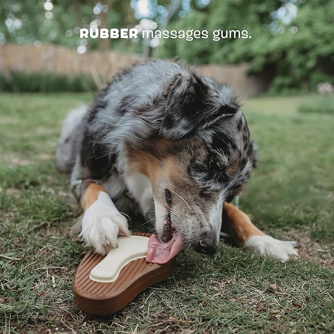 Barkbox Super Chewer Tough Dog Chew Toys for Aggressive Chewers, Dental Stimulating (T Bone - Large) - PAWPICO