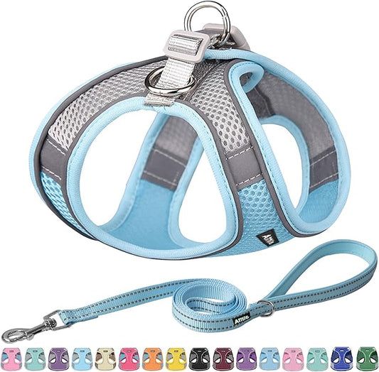AIITLE Small Harness for Puppy with A Leash - Spring Dog Vest Harness with Super Breathable Mesh, Reflective No-Pull Pet Harness for Outdoor Walking, Camping for Small Dogs, Cats Blue XXS AIITLE-FORPETSBETTERLIFE