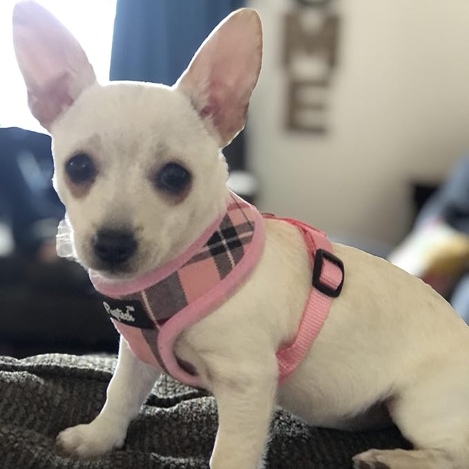 PUPTECK Soft Mesh Dog Harness and Leash Set Pet Puppy Cat Comfort Padded Vest No Pull Harnesses, Light Pink, XS PUPTECK