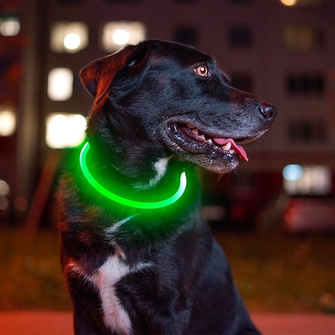 Led Dog Collar, BSEEN USB Rechargeable Flash Dog Necklace Light, Pet Safety Collar Makes Your Beloved Dogs Be Seen at Night for Small Medium Large Dogs BSEEN
