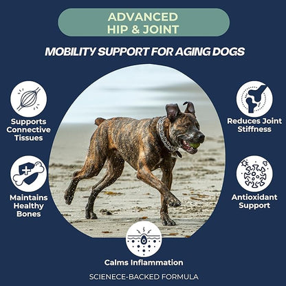 Advanced Hip & Joint Supplements for Dogs, USA Made with Glucosamine & Green Lipped Muscle for Mobility Health, 60ct Dogletics