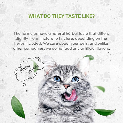 Lion's Blood Pressure | Natural Herbal Dietary Supplement for Cats | Healthy Blood Pressure Support in Cats | Alcohol-Free Extract, Hawthorn, Buchu, Garlic, Celery 2 oz SecretsOfTheTribe