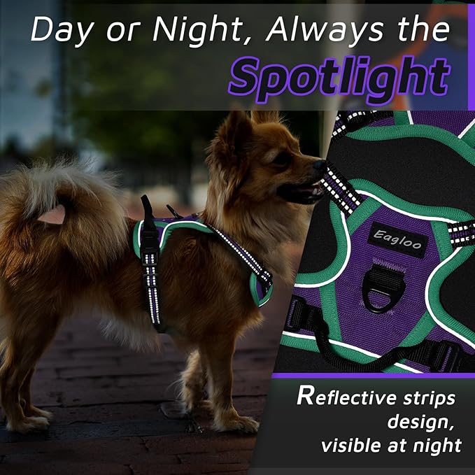 Eagloo Dog Harness for Large Dogs, No Pull Service Vest with Reflective Strips and Control Handle, Adjustable and Comfortable for Easy Walking, No Choke Harness with 2 Metal Rings, Purple & Green, XS GoExplorewithEagloo
