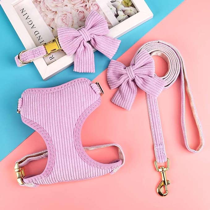 Didog Cute Small Dog Harness Collar & Leash Set, Adjustable Dog Collars and Leashes with Bowtie, Breathable Soft Mesh Padded Dog Vest for Puppies Small Dogs Walking, Purple, S Didog