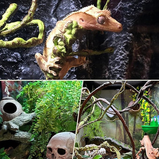 PINVNBY 10 PCS Reptile Plants Vine, Terrarium Hanging Flexible Climbing Artificial Leaves Reptile Hide, Bearded Dragon Tank Accessories, Terrarium Decor for Leopard Gecko Lizard Snake Geckos PINVNBY