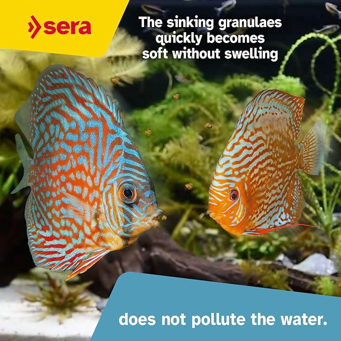 Sera Discus Granules Nature 10l (4,2kg/147,1 oz) | Main Feed for All Discus & Ornamental Fish | Rich in Aquatic Proteins & Minerals | No Dyes or Preservatives | Boosts Growth, Health & Fertility Sera
